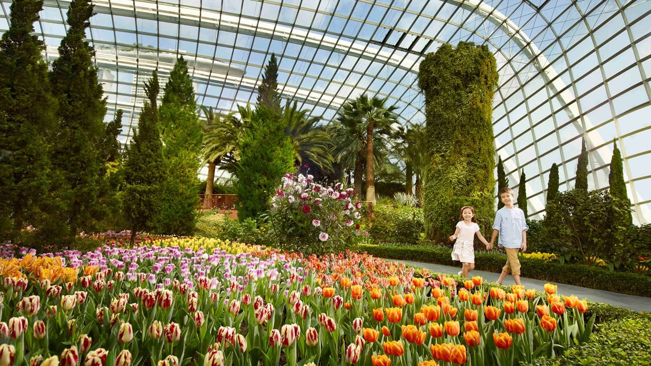 COMBO: Gardens by the Bay + National Orchid Garden Ticket - image 5