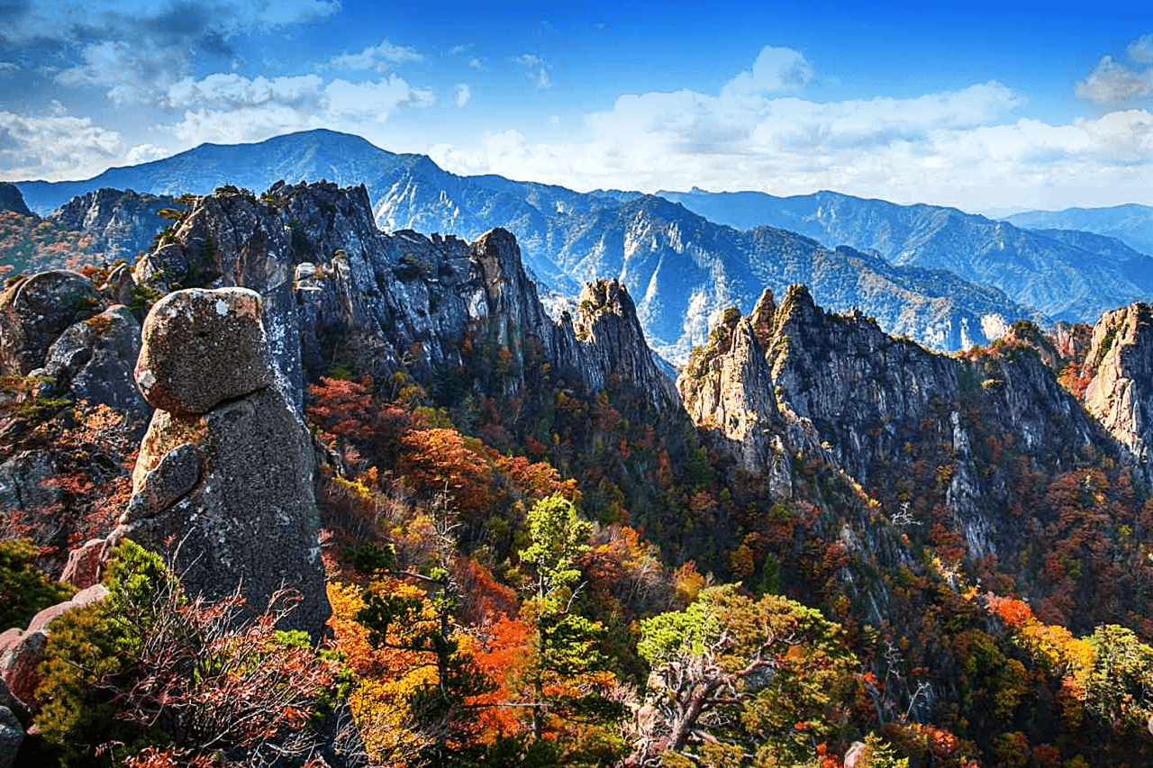Nami Island, Mount Seorak, and Gapyeong Rail Bike Full-Day Tour from Seoul - image 7