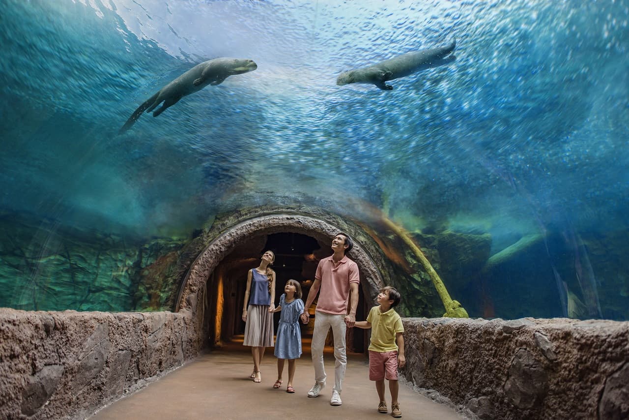 Mandai Destination Pass: Visit Up to 6 Attractions in 1 or 5 Days - image 9