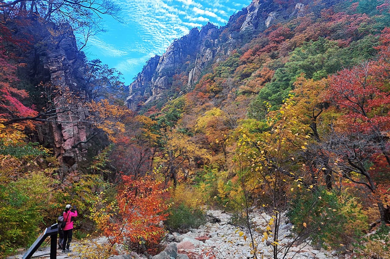 Nami Island, Mount Seorak, and Garden of Morning Calm Full-Day Tour from Seoul - image 5