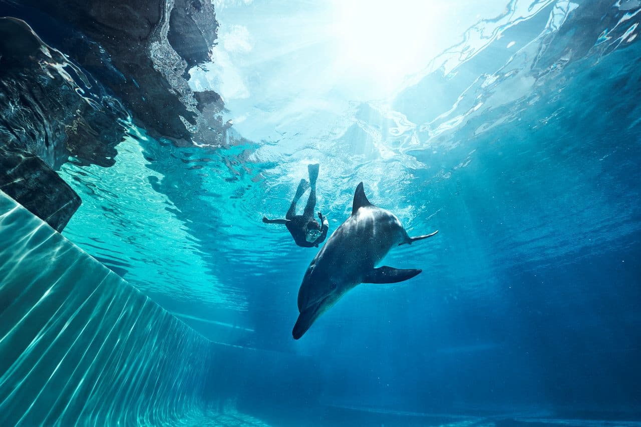 Singapore Oceanarium Ticket - image 12