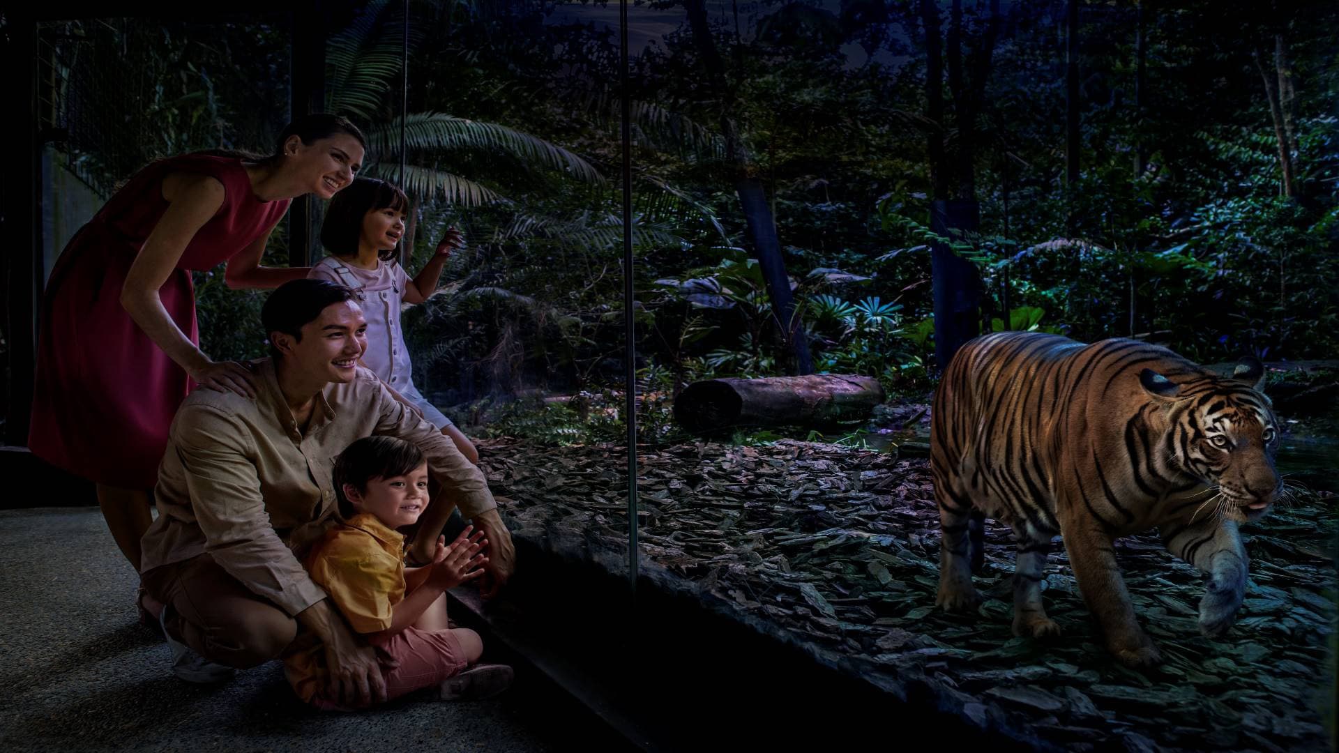 Singapore Night Safari Ticket - image 3