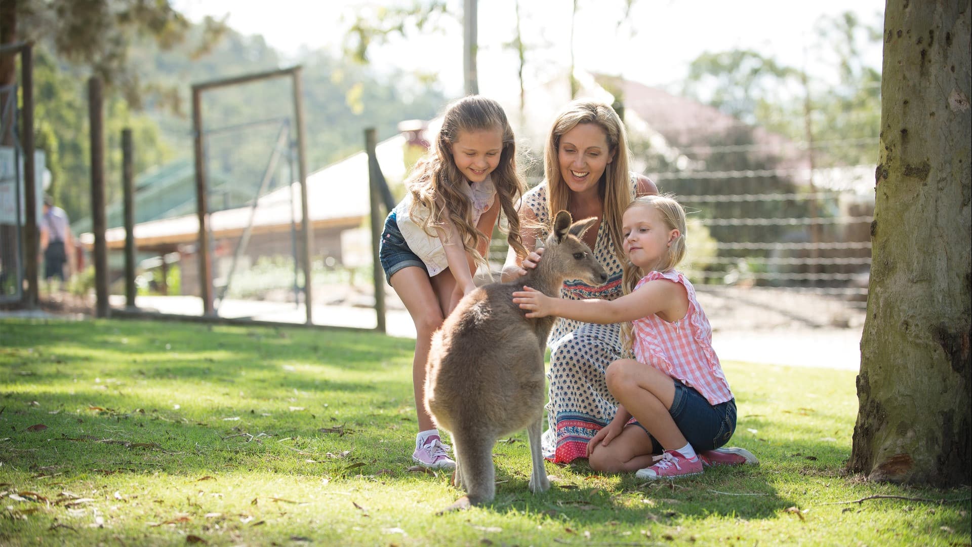 Paradise Country Farm Ticket - image 4