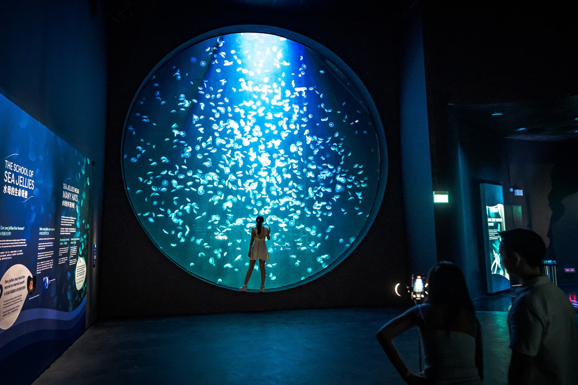 Singapore Oceanarium Ticket - image 5