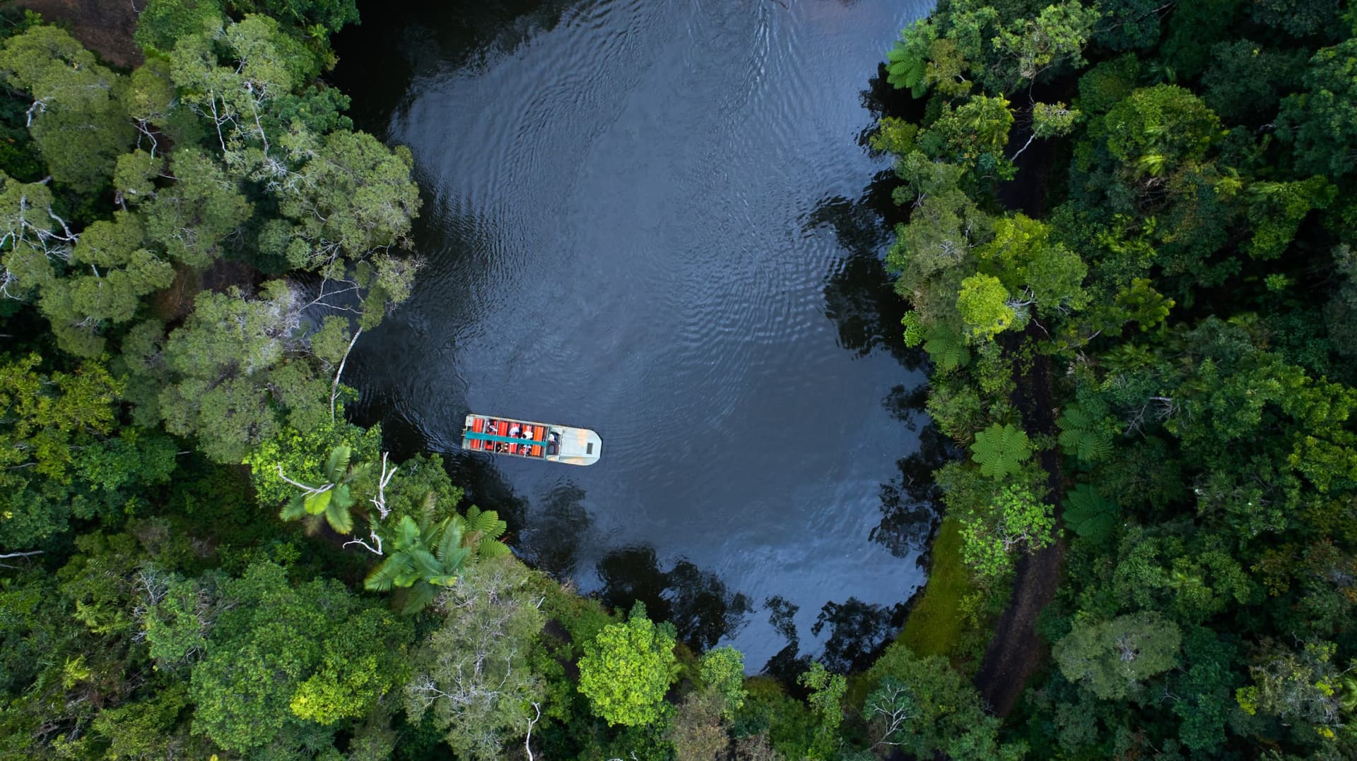 Kuranda Rainforestation Nature Park Full-Day Tour from Cairns with Kuranda Scenic Railway - image 4