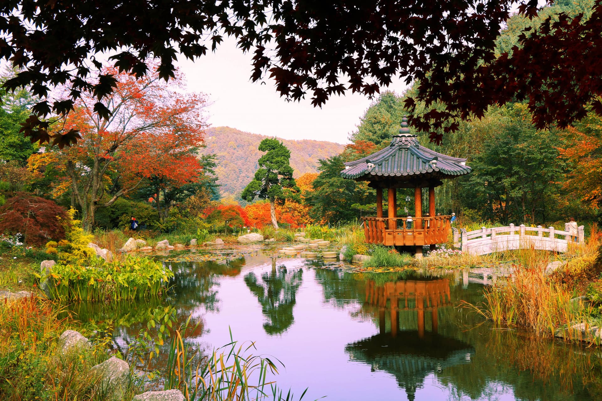 Nami Island and Garden of Morning Calm Tour from Seoul - image 2
