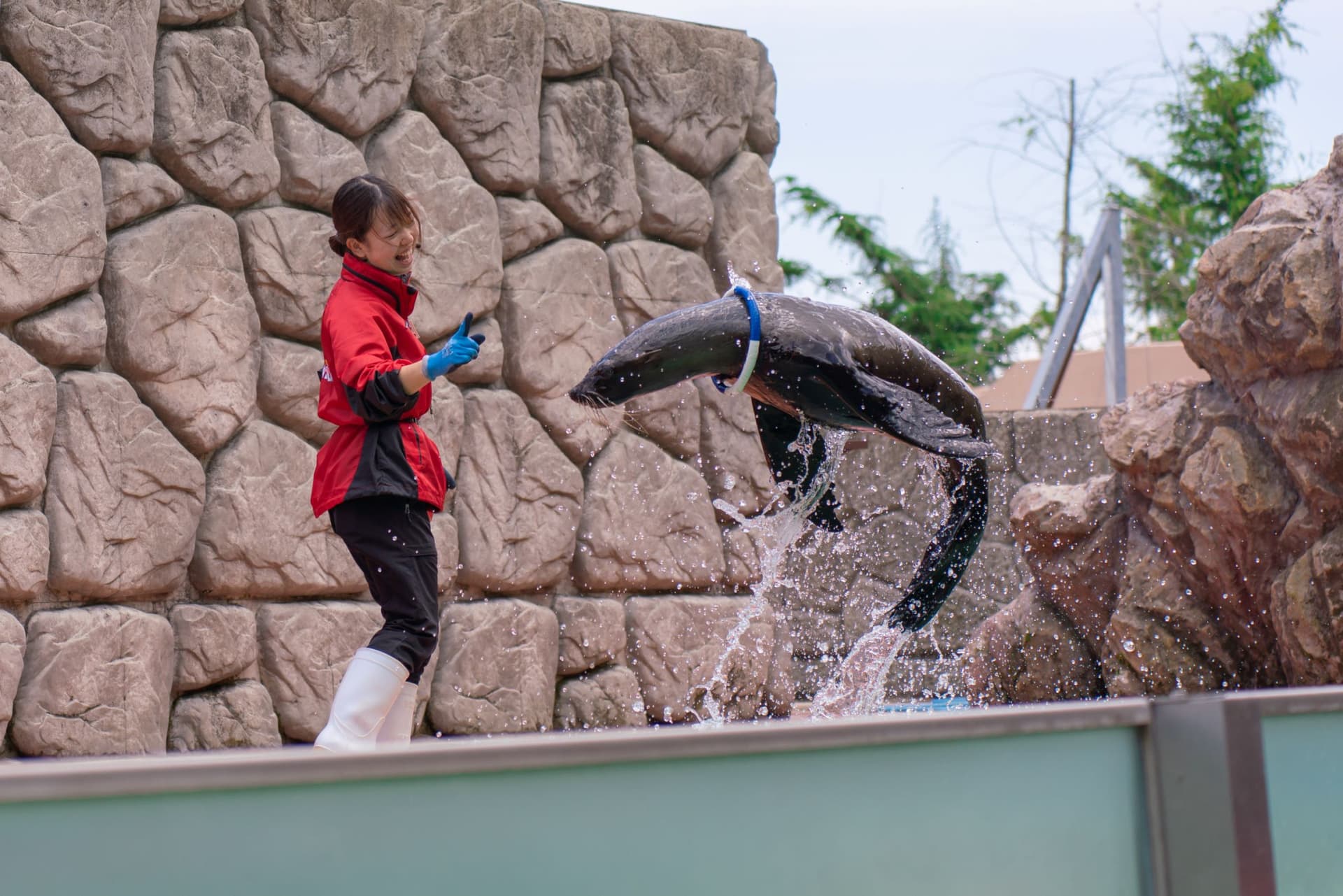Nasu Animal Kingdom Ticket - image 3