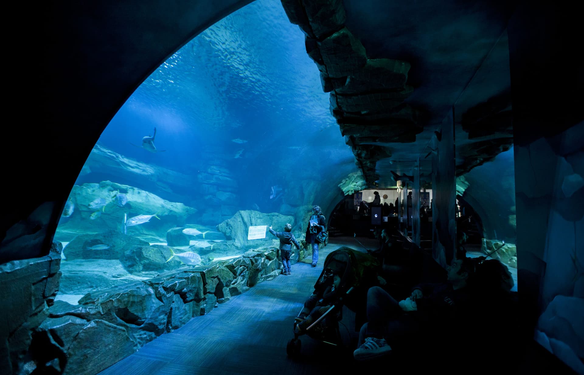 The Paris Pass Plus: Save up to 50% on Attractions - image 27