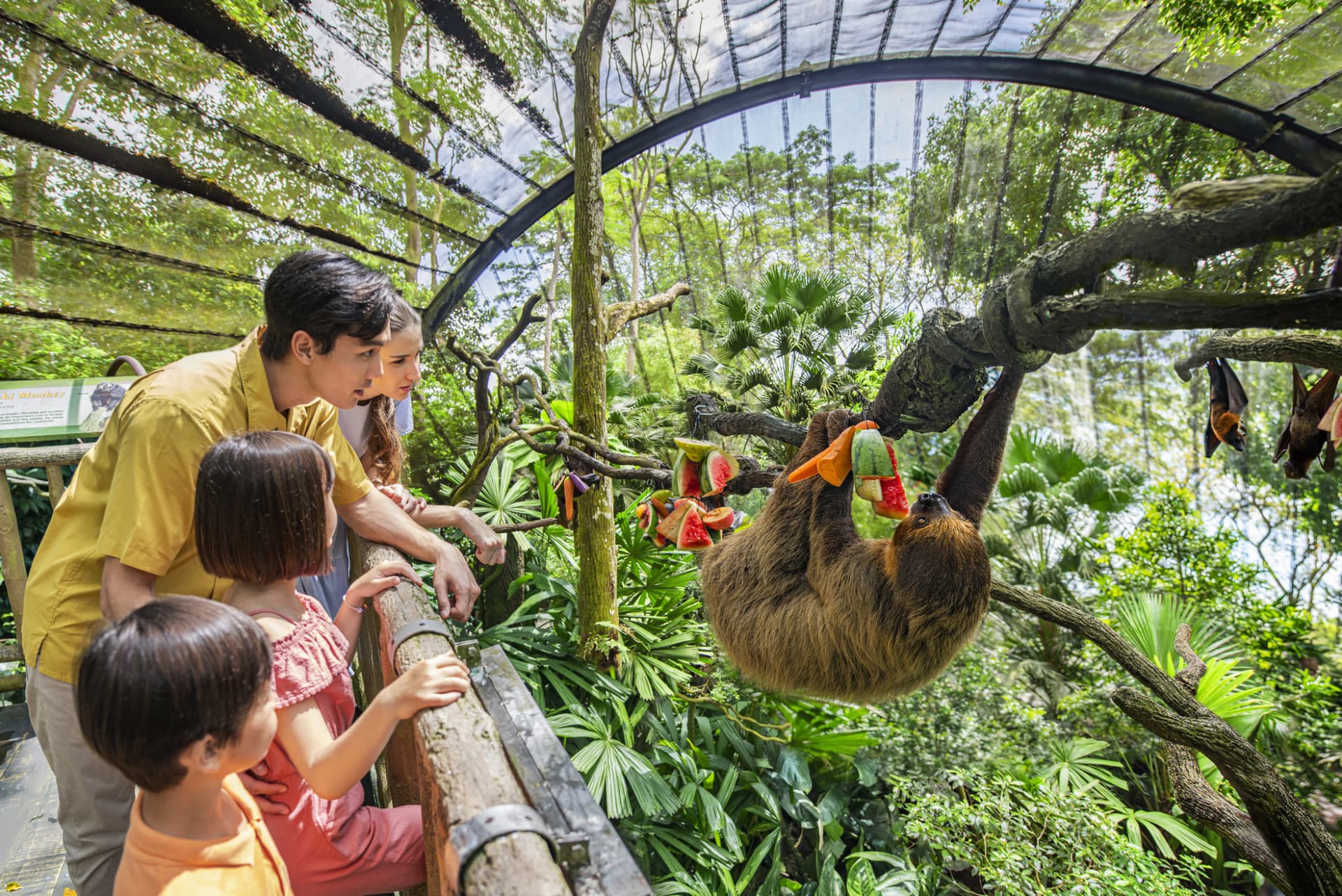 Mandai Destination Pass: Visit Up to 6 Attractions in 1 or 5 Days - image 4