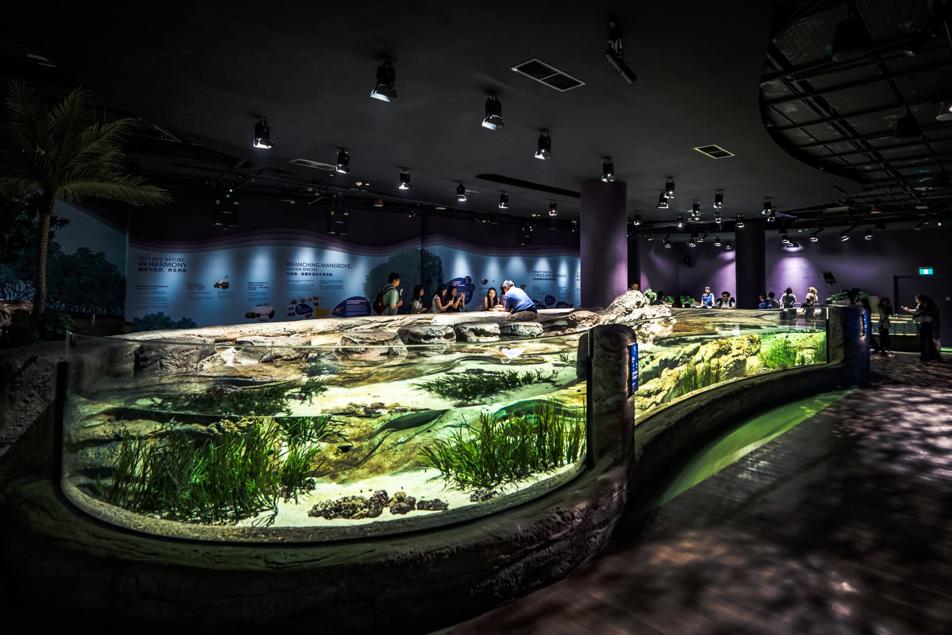 COMBO: Singapore Oceanarium + Albatross Hop-On Hop-Off Speedboat Tickets - image 4