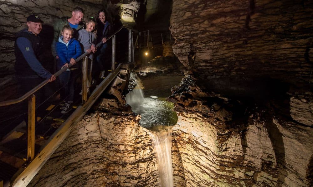 Te Anau Glowworm Caves Tour - image 6